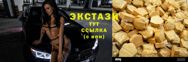 mdpv Вяземский