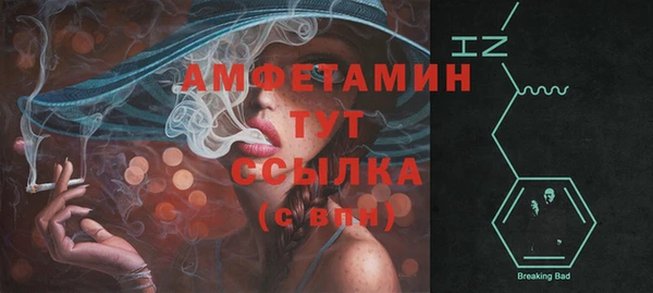 PSILOCYBIN Вязники