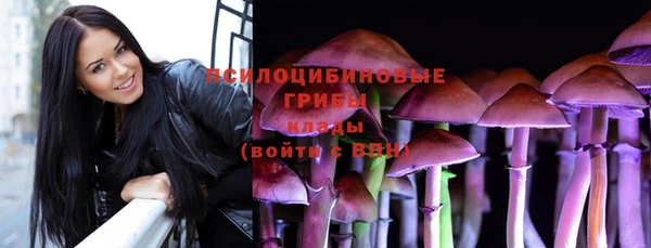 mdpv Вяземский
