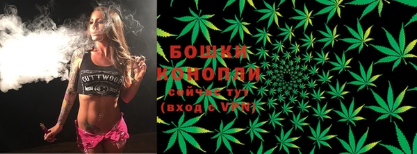PSILOCYBIN Вязники