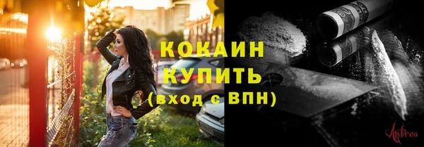 PSILOCYBIN Вязники